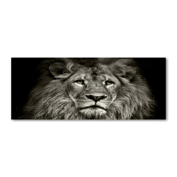 Acrylbild Fotodruck Löwe