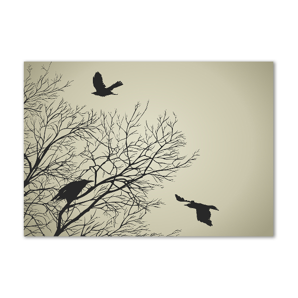 Acrylglas-Druck Krähen auf einem Baum