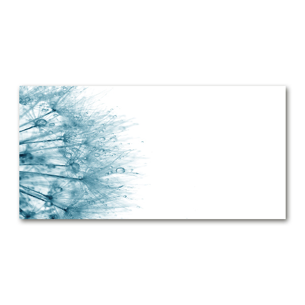 Acrylglas-Druck Löwenzahn