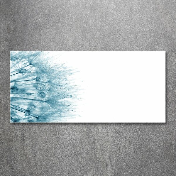 Acrylglas-Druck Löwenzahn