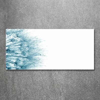 Acrylglas-Druck Löwenzahn