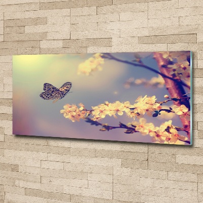 Foto auf Acryl Kirschblüte und Schmetterling