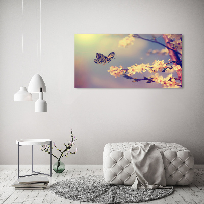 Foto auf Acryl Kirschblüte und Schmetterling
