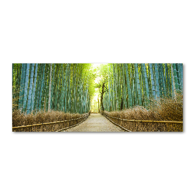 Bild auf Acrylglas Bambuswald
