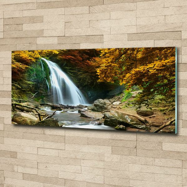 Acrylbild Fotodruck Wasserfall im Wald