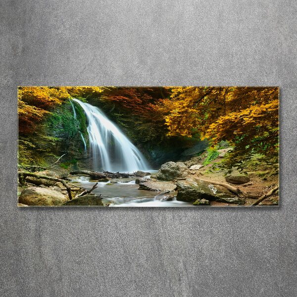 Acrylbild Fotodruck Wasserfall im Wald