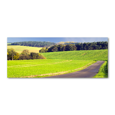 Foto auf Acryl Feldweg