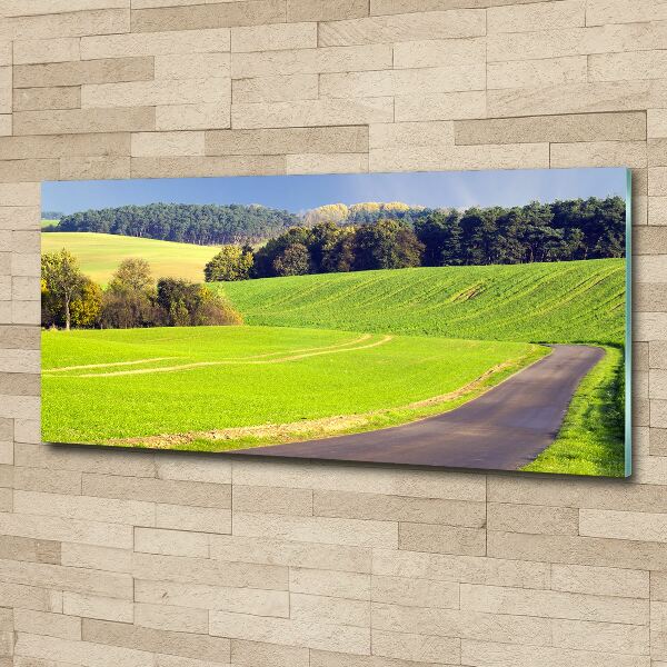 Foto auf Acryl Feldweg