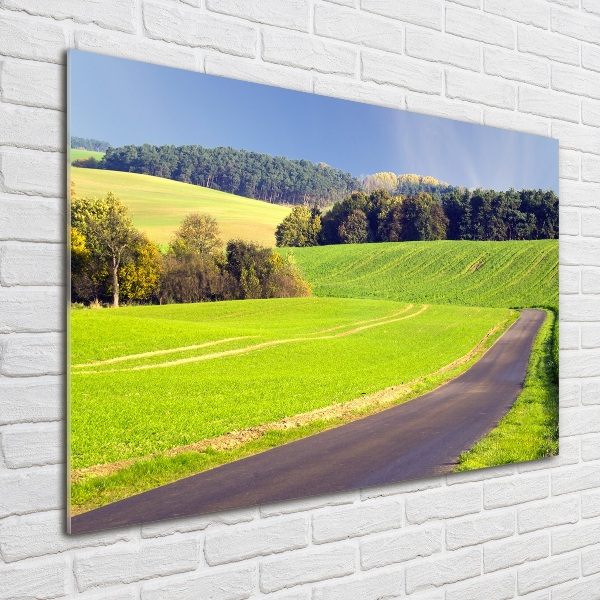 Foto auf Acryl Feldweg