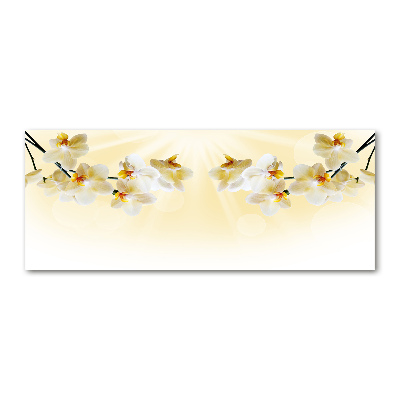 Acrylglas-Druck Orchidee