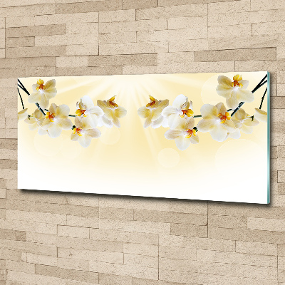 Acrylglas-Druck Orchidee
