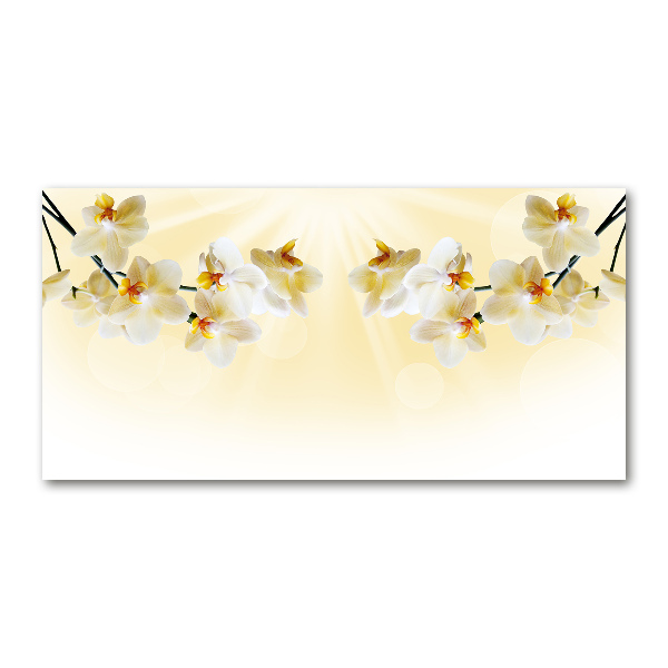 Acrylglas-Druck Orchidee