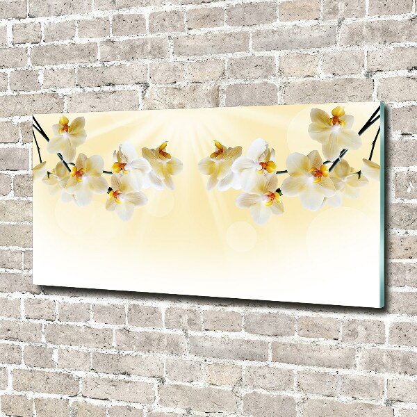 Acrylglas-Druck Orchidee