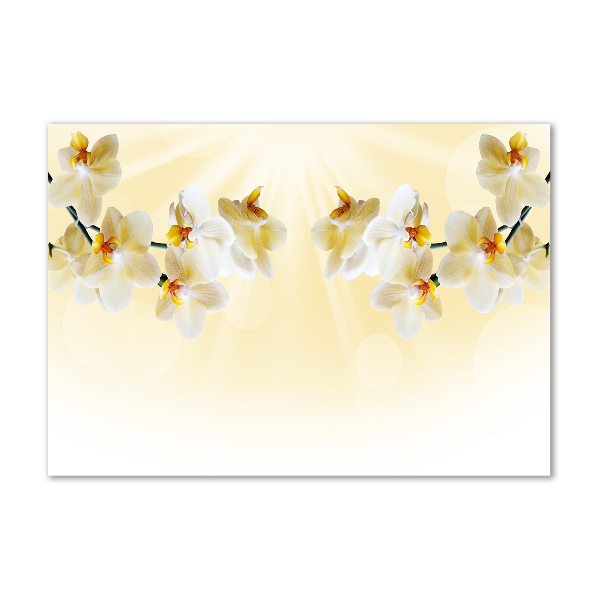 Acrylglas-Druck Orchidee