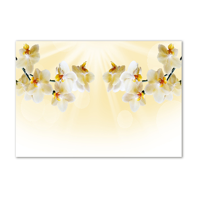 Acrylglas-Druck Orchidee