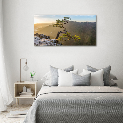 Acrylbild Fotodruck Sokolica Pieniny