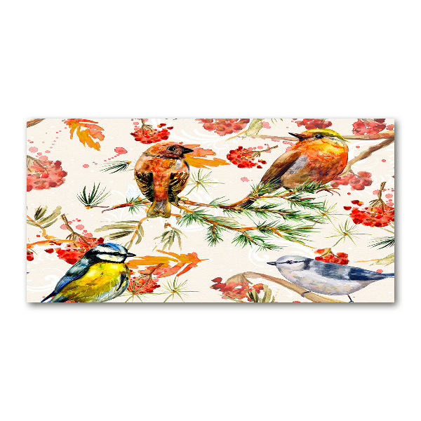 Acrylbild Fotodruck Nadelbäume und Vögel