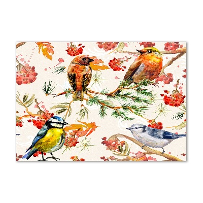 Acrylbild Fotodruck Nadelbäume und Vögel