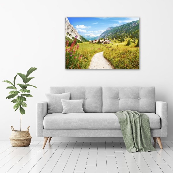 Acrylglas-Druck Weide in den Alpen