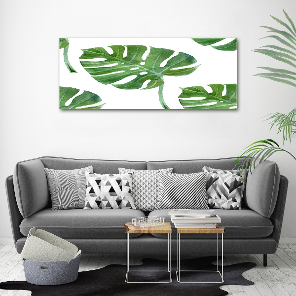 Acrylglas-Druck Monstera