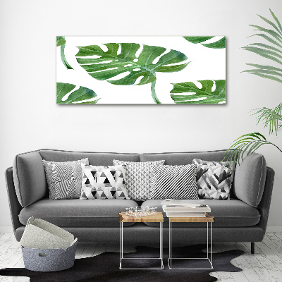 Acrylglas-Druck Monstera
