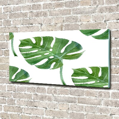Acrylglas-Druck Monstera