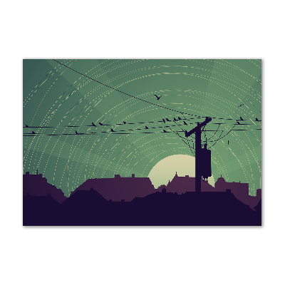 Foto auf Acryl Vogelstadt