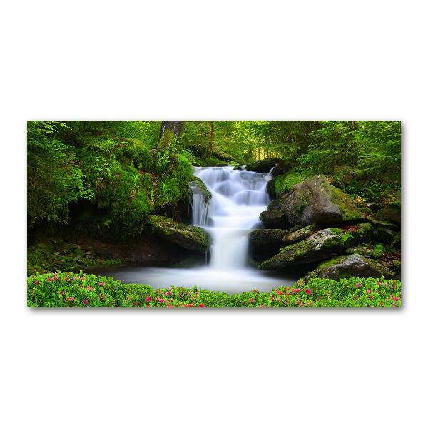 Acrylglas-Druck Wasserfall im Wald