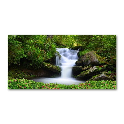 Acrylglas-Druck Wasserfall im Wald