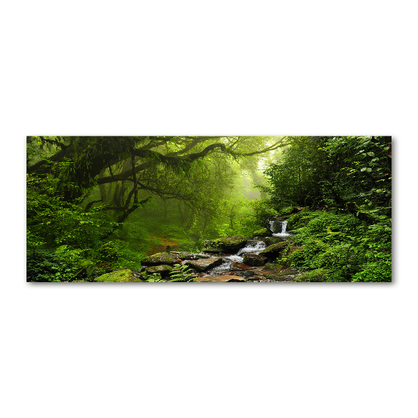 Foto auf Acryl Dschungel in Nepal