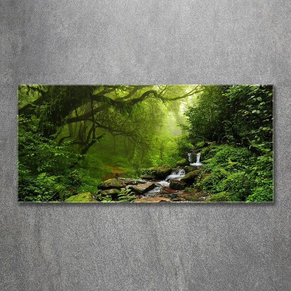 Foto auf Acryl Dschungel in Nepal