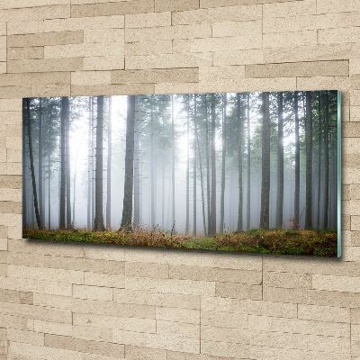 Bild auf Acrylglas Nebel im Wald