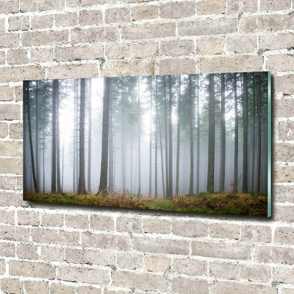 Bild auf Acrylglas Nebel im Wald