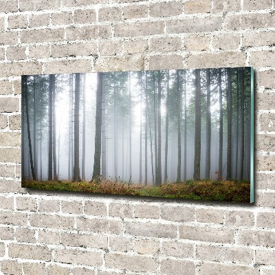 Bild auf Acrylglas Nebel im Wald