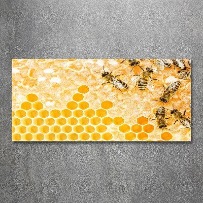 Foto auf Acryl Arbeitsbienen