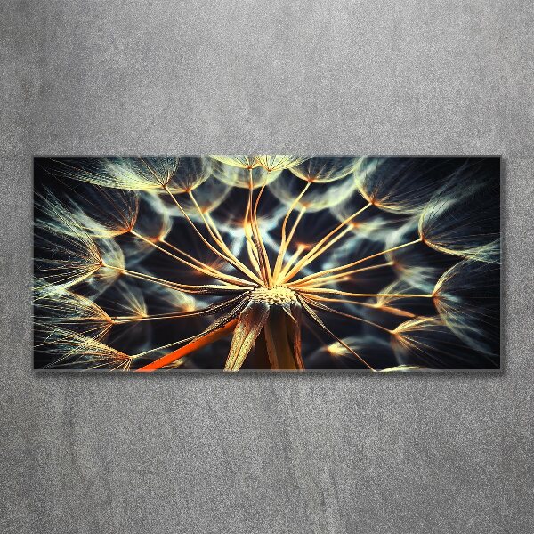 Acrylbild Fotodruck Löwenzahn