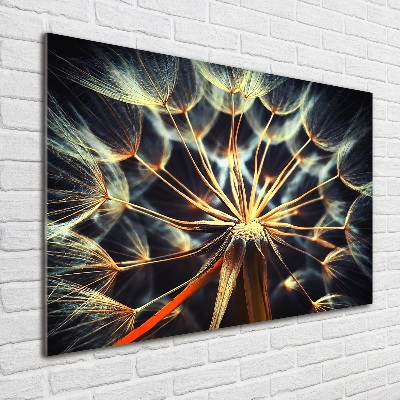 Acrylbild Fotodruck Löwenzahn