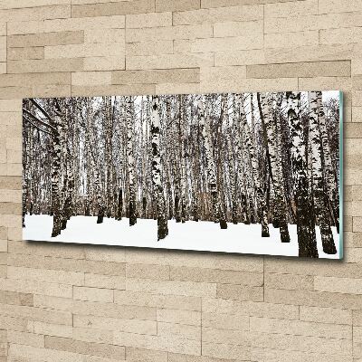 Acrylbild Fotodruck Birken im Winter
