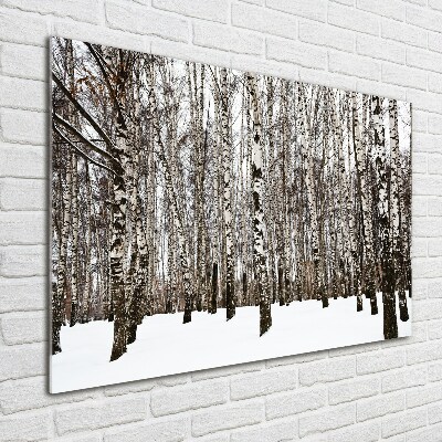 Acrylbild Fotodruck Birken im Winter