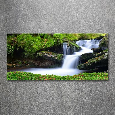 Foto auf Acryl Wasserfall im Wald