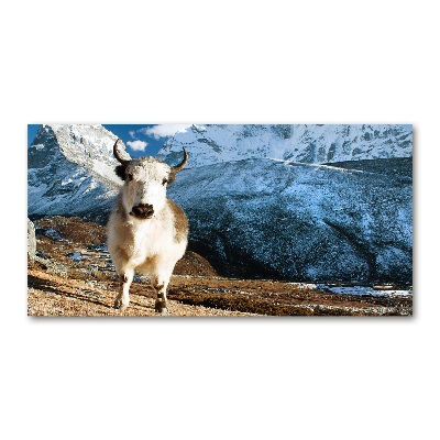 Foto auf Acryl Wie Berge