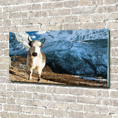 Foto auf Acryl Wie Berge