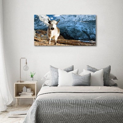 Foto auf Acryl Wie Berge