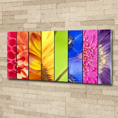 Bild auf Acrylglas Bunte Blumen