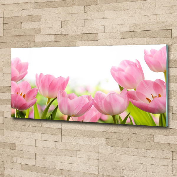 Acrylbild Fotodruck Rosa Tulpen