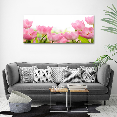 Acrylbild Fotodruck Rosa Tulpen