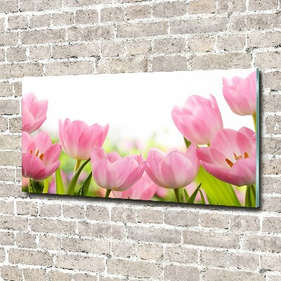 Acrylbild Fotodruck Rosa Tulpen