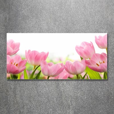 Acrylbild Fotodruck Rosa Tulpen