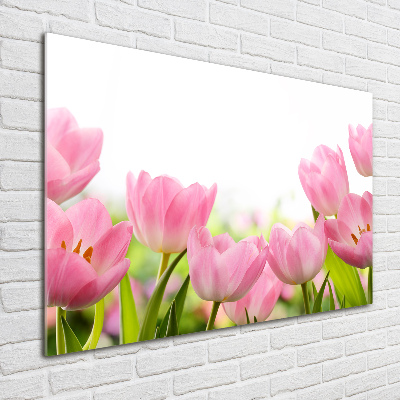 Acrylbild Fotodruck Rosa Tulpen