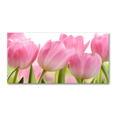 Acrylglas-Druck Rosa Tulpen